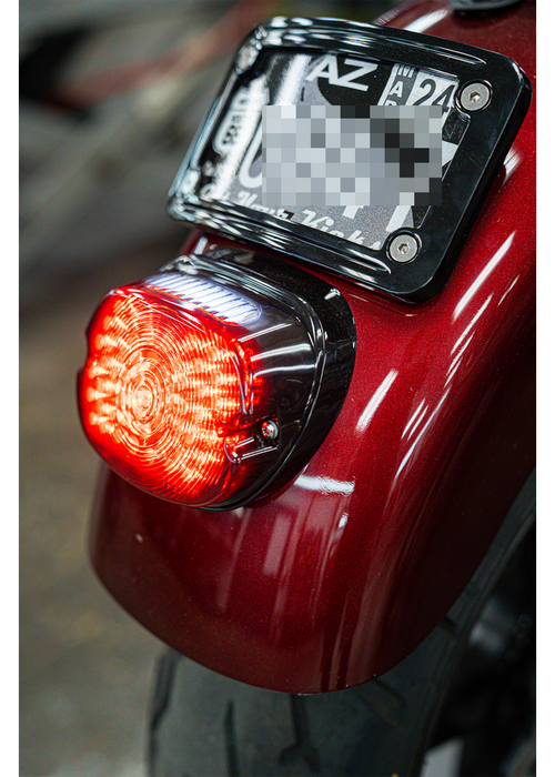NIGHT PROWLER LED INTEGRATED TAILLIGHT *NEW AND IMPROVED*