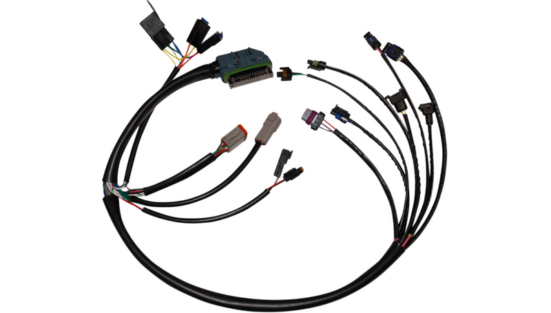 Twin Cam Complete Ignition wire harnesses