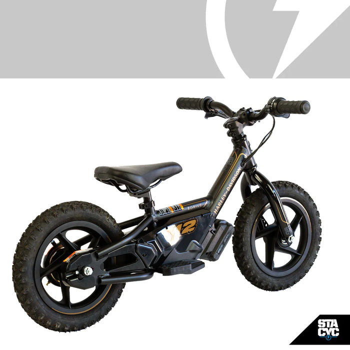 Stacyc 12eDrive Harley Davidson Ramjet Racing