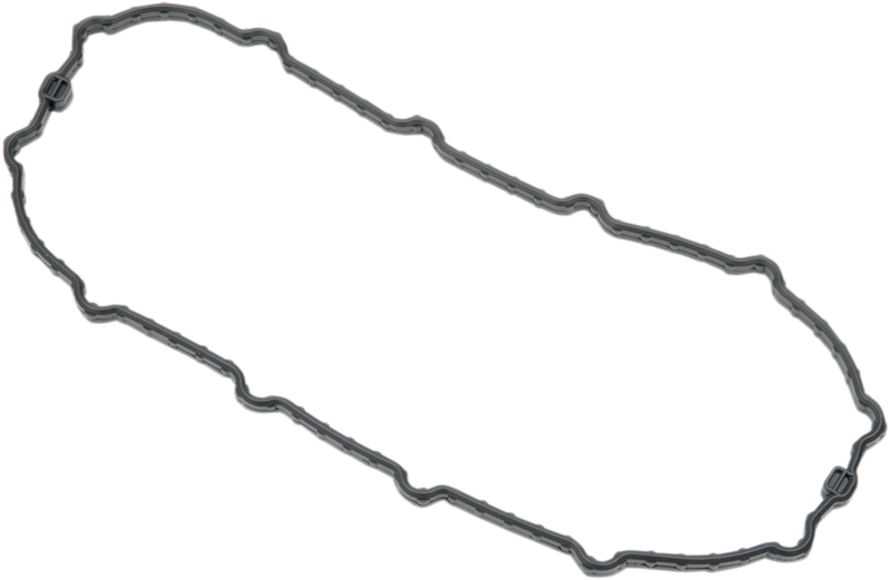 Fuel Pump Door Seal - Dyna
