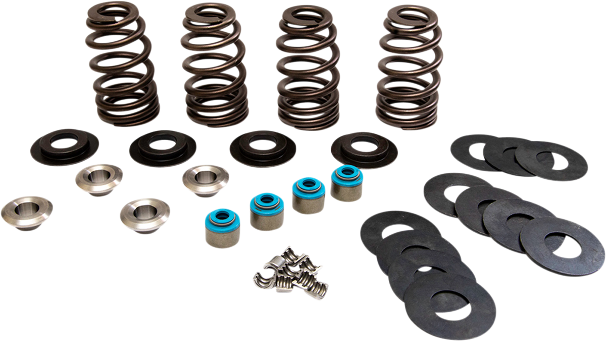 Feuling Econo Valve Spring kits