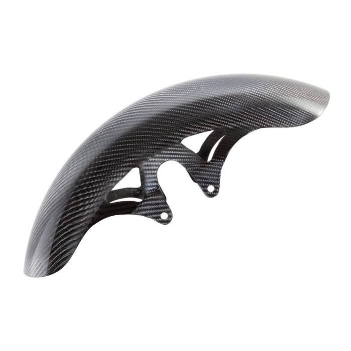 19” Pro Sport Carbon Fiber Front Fenders, FLT Touring