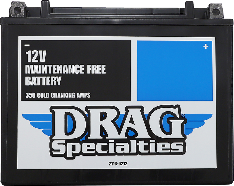AGM Battery - YTX24HLBS