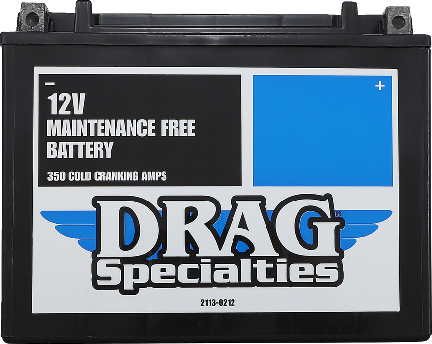 AGM Battery - YTX24HLBS