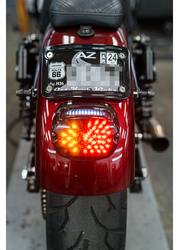 NIGHT PROWLER LED INTEGRATED TAILLIGHT *NEW AND IMPROVED*