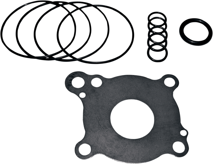 Oil Pump Rebuild Kit - Twin Cam