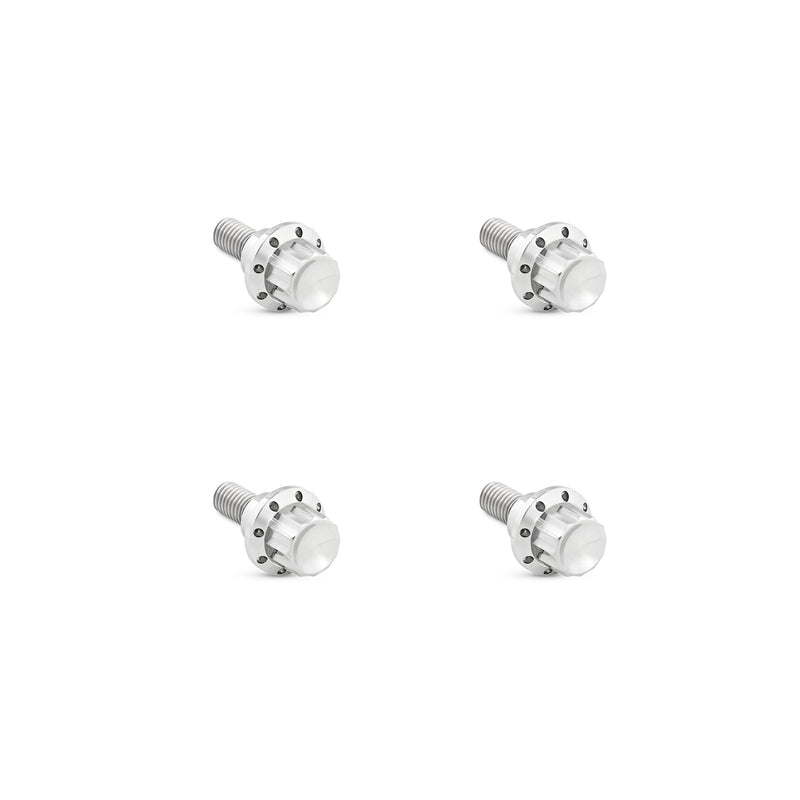Titanium 12-Point Windshield Bolts for Road Glide, Polished
