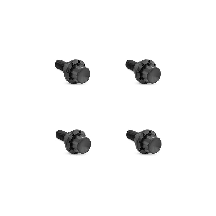 Titanium 12-Point Windshield Bolts for Road Glide, Black