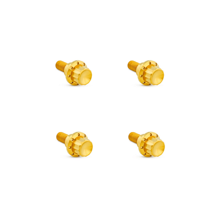 Titanium 12-Point Windshield Bolts for Road Glide, Gold