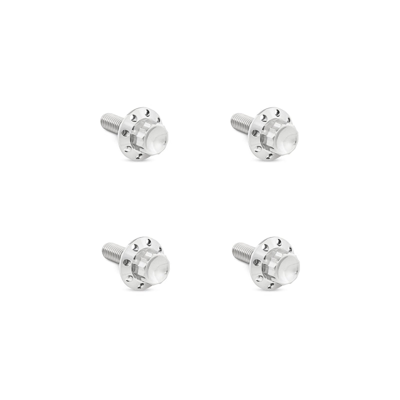 Titanium 12-Point Windshield Bolts for Road Glide, Polished