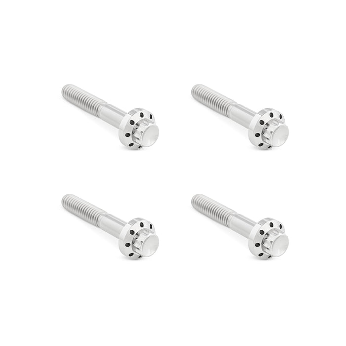 Titanium 12-Point Front Fender Bolts, Polished