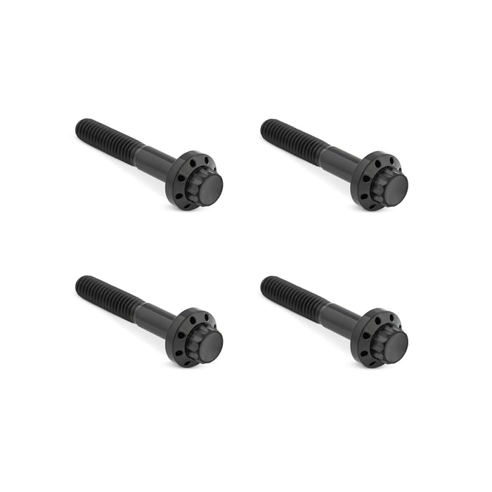 Titanium 12-Point Front Fender Bolts, Black