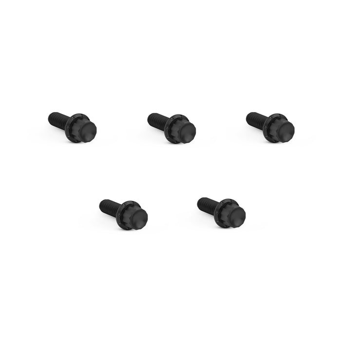 Derby Cover Titanium 12-Point Bolt Kits, Black