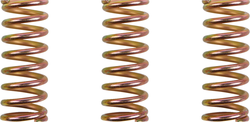 Clutch Spring Kit