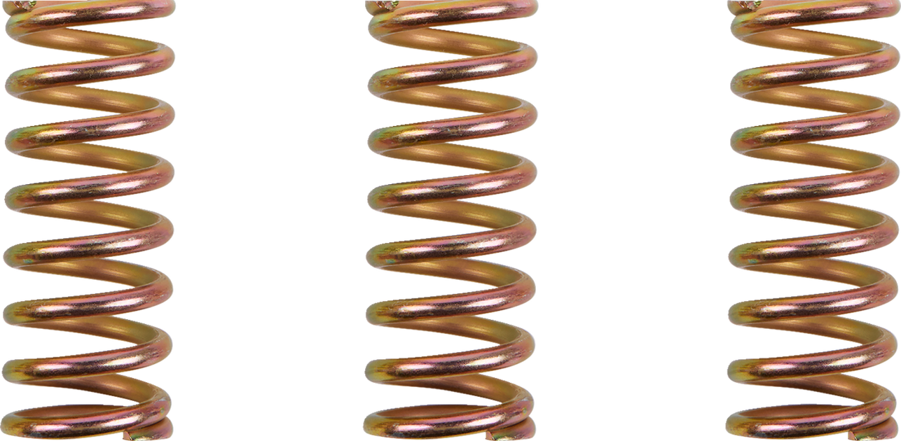 Clutch Spring Kit — Ramjet Racing