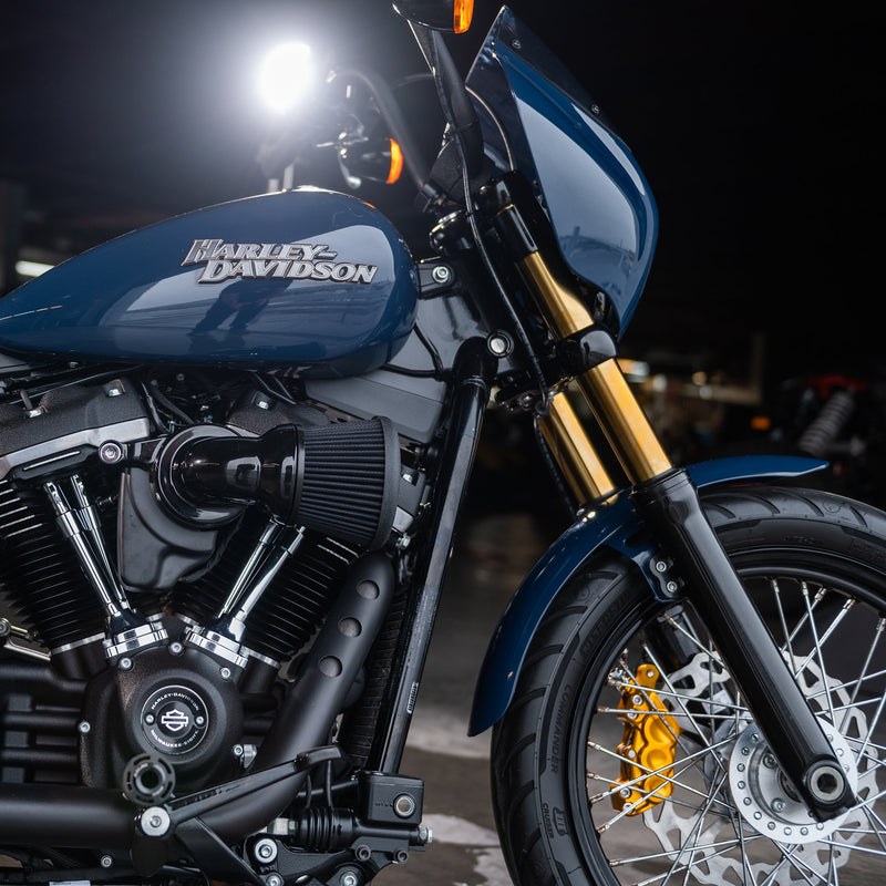 Gold & Black 49mm Fork Tubes, M8 Softail