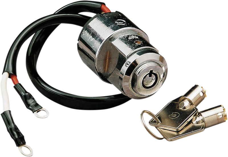 IGNITION SWITCHES WITH KEYS (MULTIPLE MODELS)