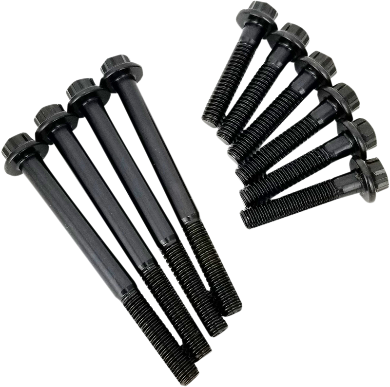 Fastener Kit - Cam Plate/Oil Pump - HP+/Race Series - M8