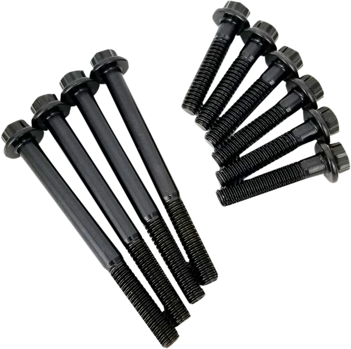Fastener Kit - Cam Plate/Oil Pump - HP+/Race Series - M8