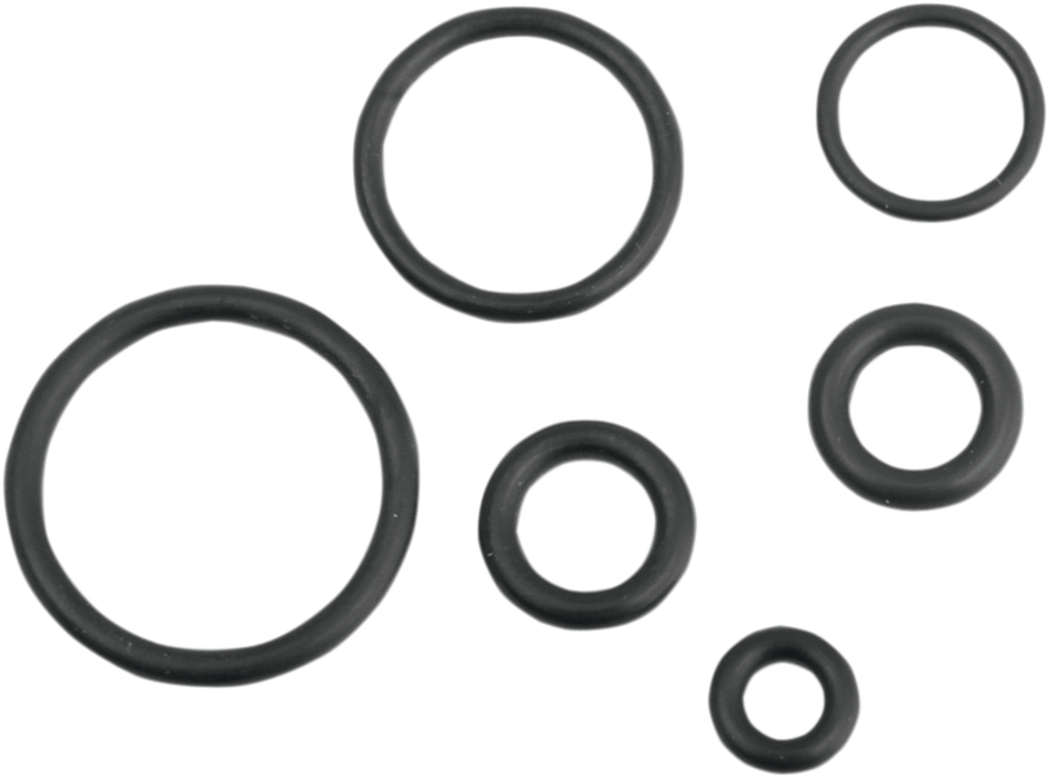 Replacement Fuel Line O-Ring Kit - EFI