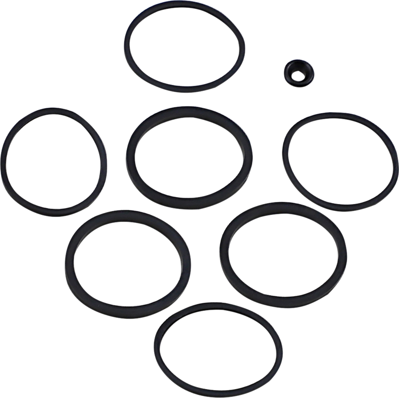 Caliper Seal Kit - Front/Rear - FLT
