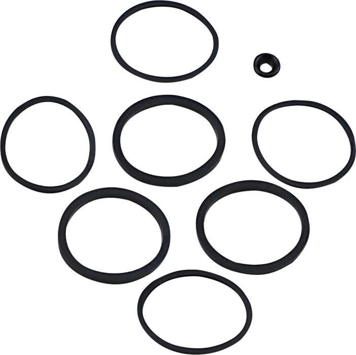 Caliper Seal Kit - Front/Rear - FLT