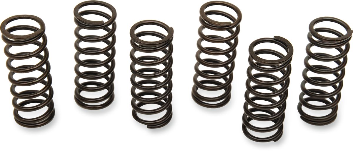 Clutch Spring Set — Ramjet Racing