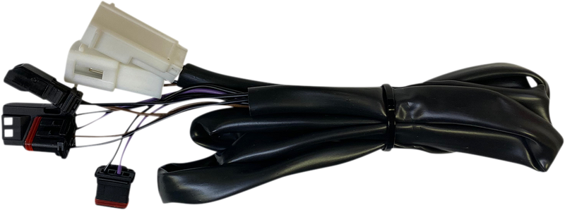 Taillight Harness - Low Rider