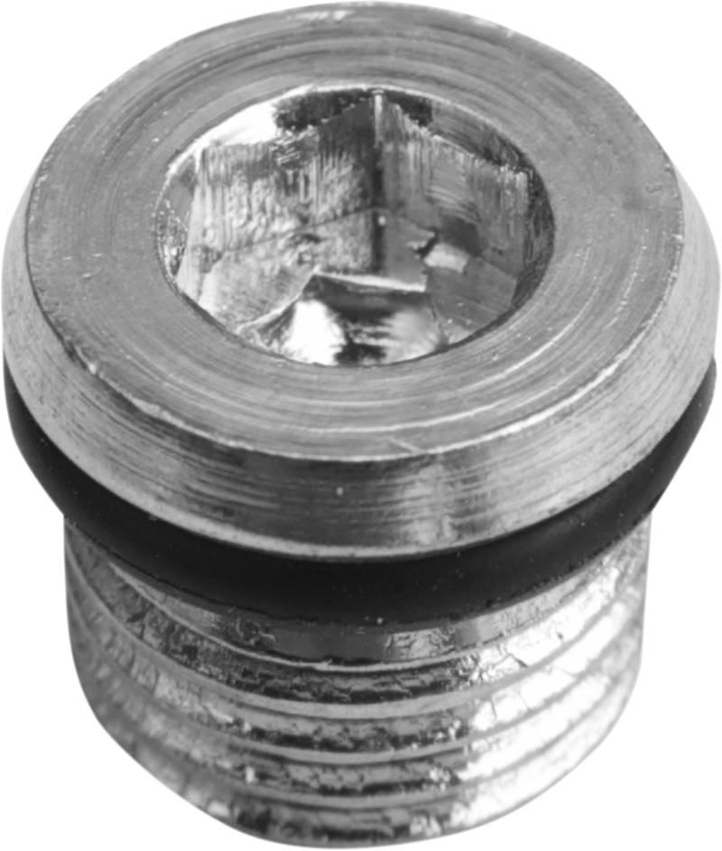 Primary Plug - 5/16"-18