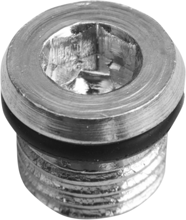Primary Plug - 5/16"-18
