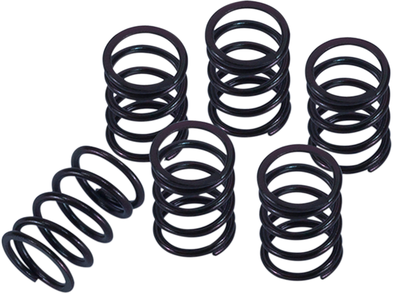 Clutch Spring Kit