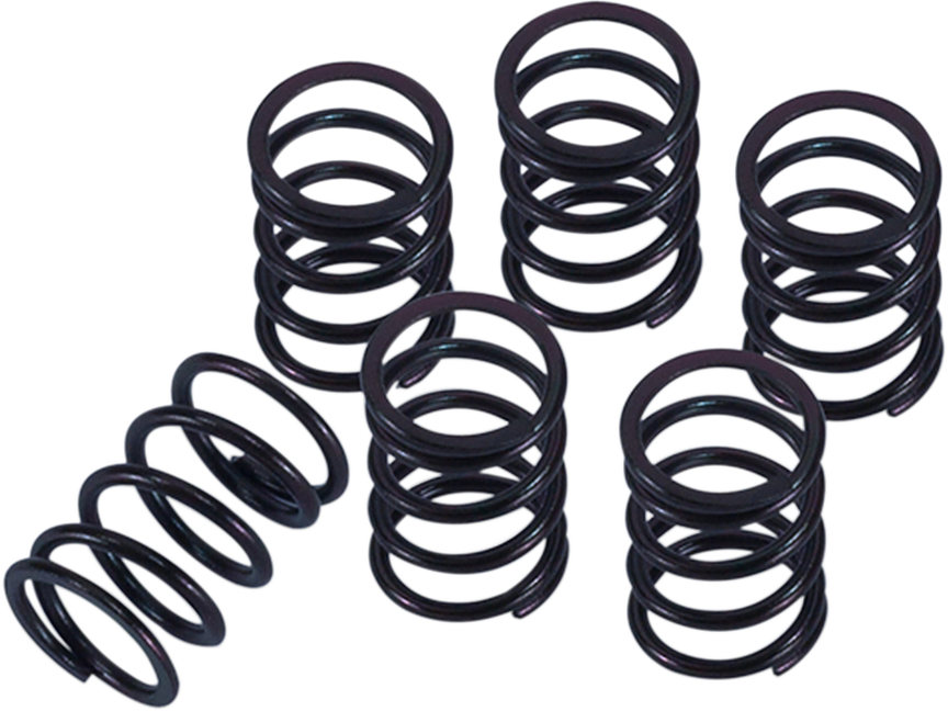 Clutch Spring Kit