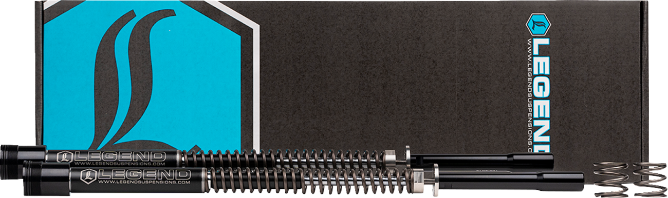 AXEO Trike Front Suspension - 49 mm - Standard - '14-'18 FLHTCUTG/FLRT