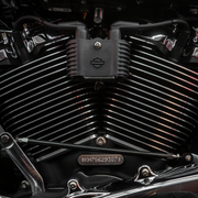 Trask Bitchin' Bolts on Harley Davidson M8 Coil