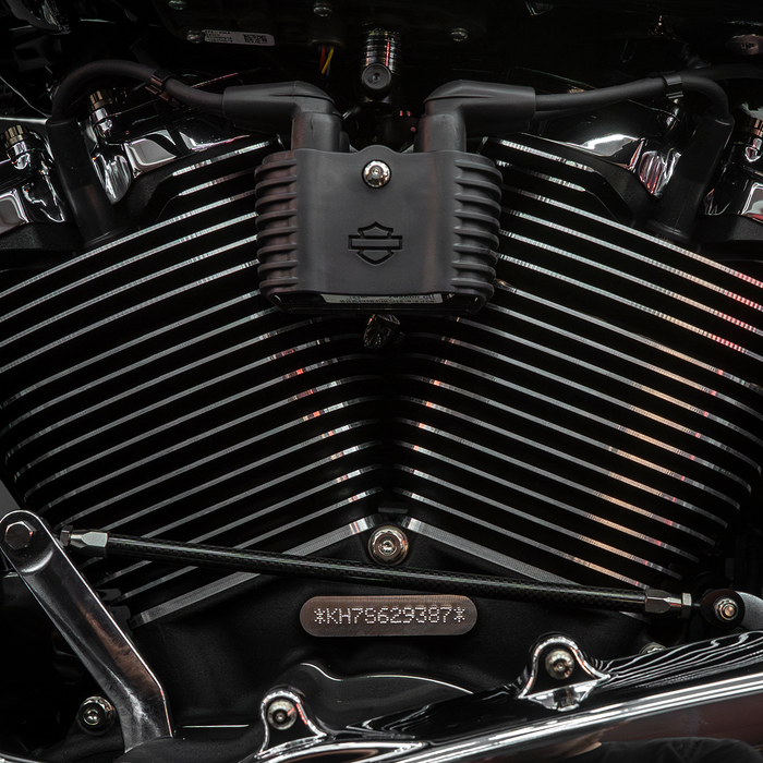 Trask Bitchin' Bolts on Harley Davidson M8 Coil