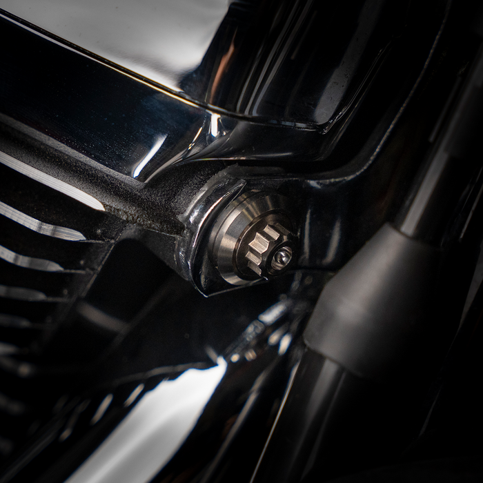 Trask Bitchin' Bolts - titanium motor mount kit.