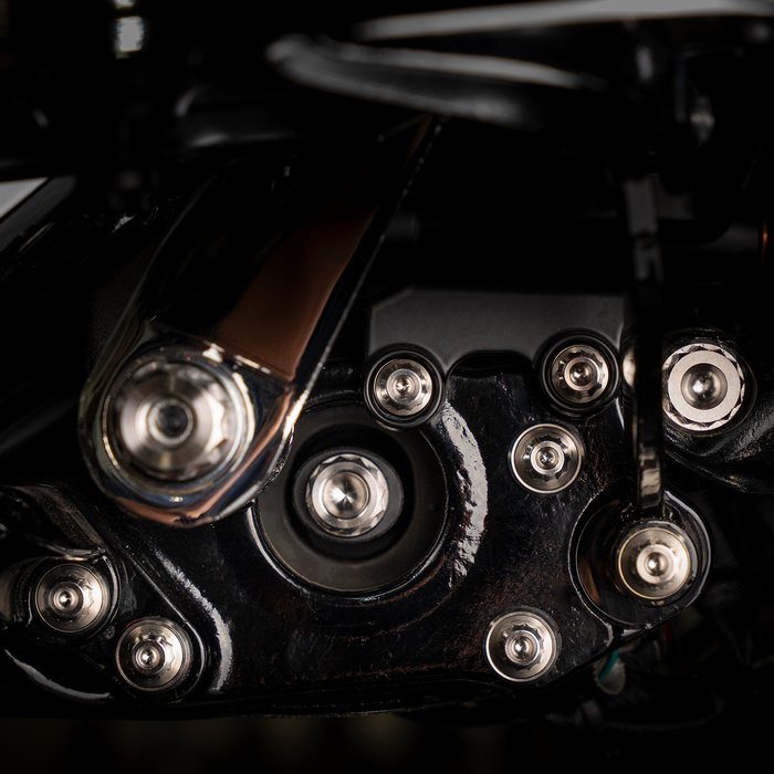 Trask Bitchin' Bolts - titanium peg mount kits.