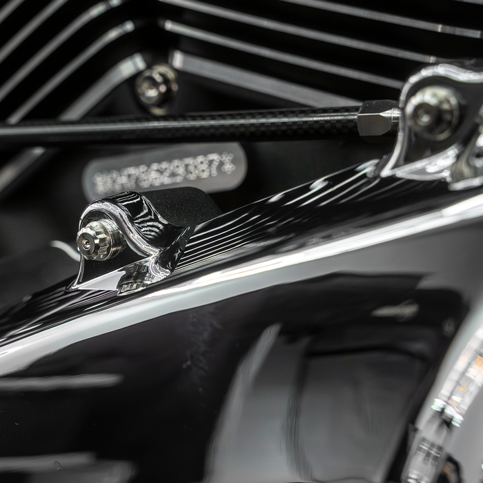 Trask Bitchin' Bolts - Harley Davidson M8 Primary Titanium Bolts