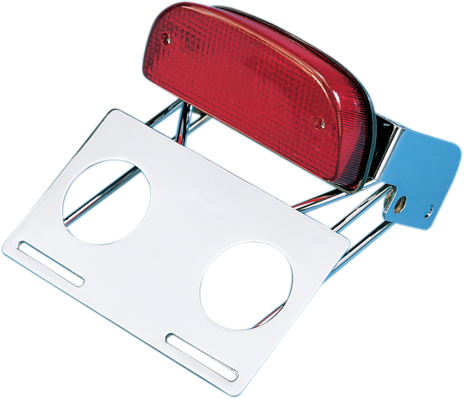 Taillight/Bracket Assembly - Chrome