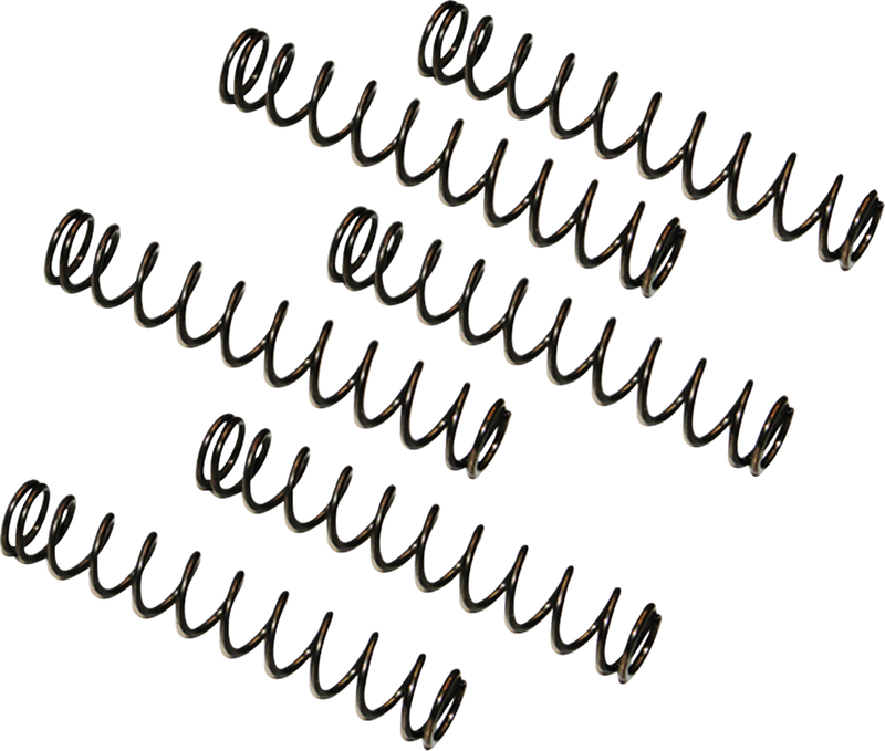 Camplate Pressure Relief Spring - Twin Cam Engine Camplates '99-'17
