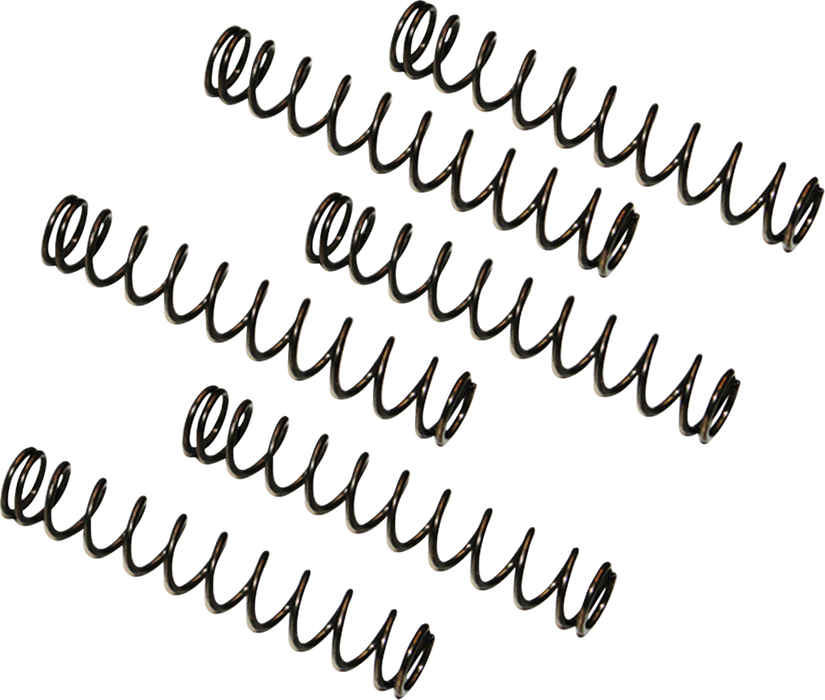 Camplate Pressure Relief Spring - Twin Cam Engine Camplates '99-'17