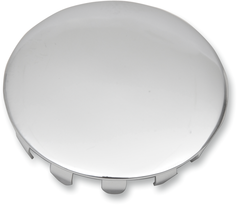 Swingarm Pivot Shaft Cover - '91-'05 FXD/FXDWG