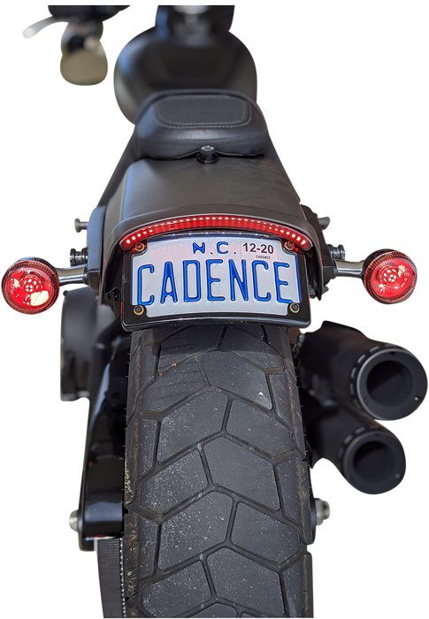 LED Taillight with Turn Signal - Red