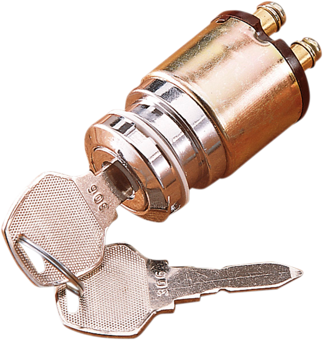 IGNITION SWITCHES WITH KEYS (MULTIPLE MODELS)