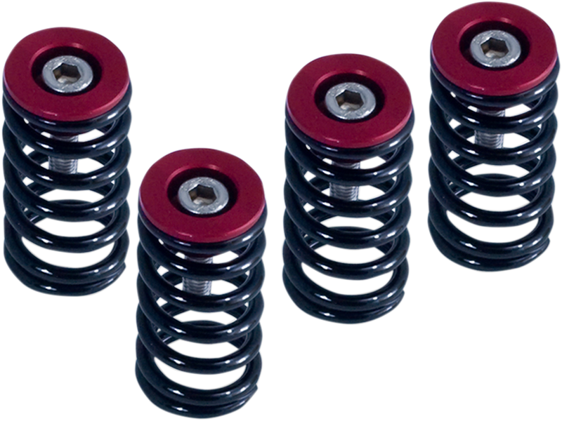 Clutch Springs