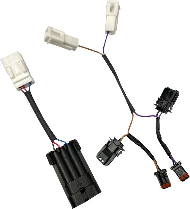 TAILLIGHT ADAPTERS RUN/BRAKE/TURN FOR FXLRST