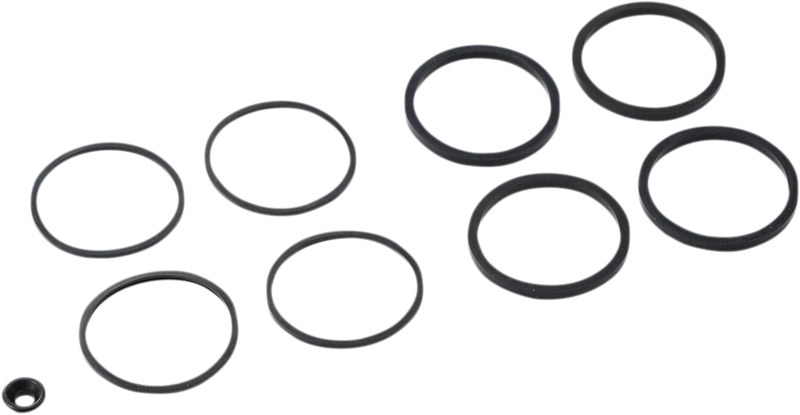 Caliper Seal Kit - Front/Rear - FLT