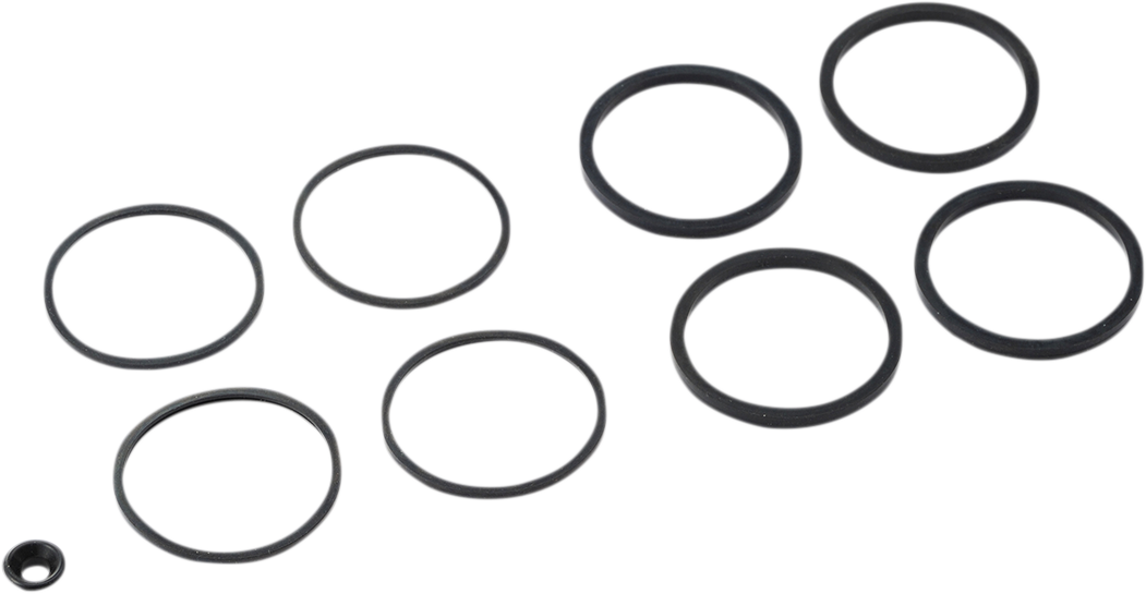 Caliper Seal Kit - Front/Rear - FLT