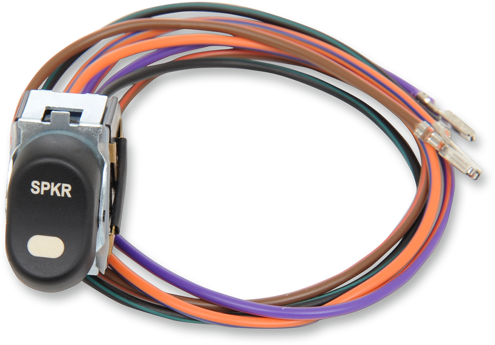 Speaker Rocker Switch - '96-'13 FLT
