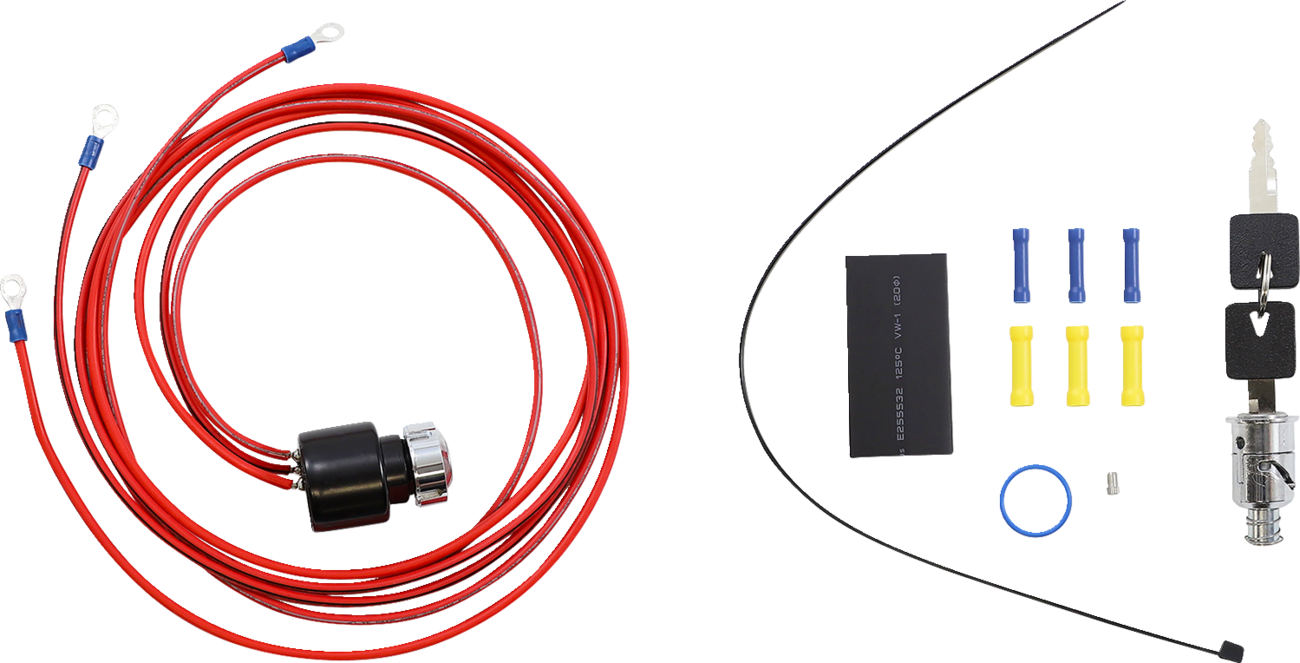 IGNITION SWITCHES WITH KEYS (MULTIPLE MODELS)